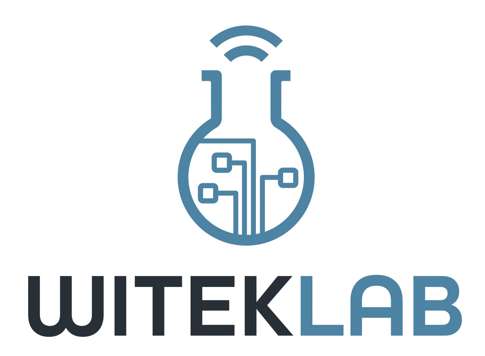 Logo WITEKLAB